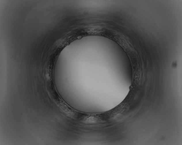 X0000089930755200707131432