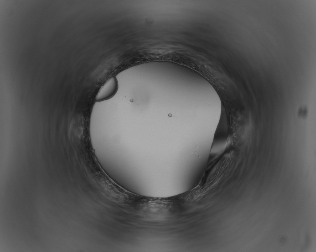 X0000089930758200707131432