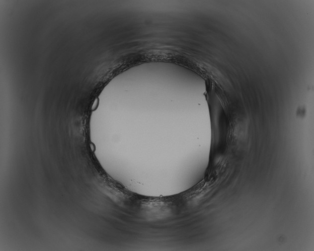 X0000089930759200707131432