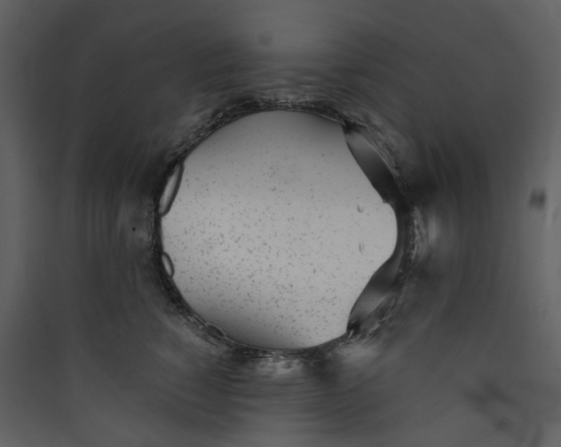 X0000089930760200707131432