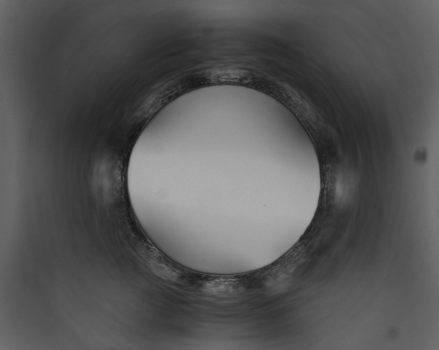 X0000089930761200707131432