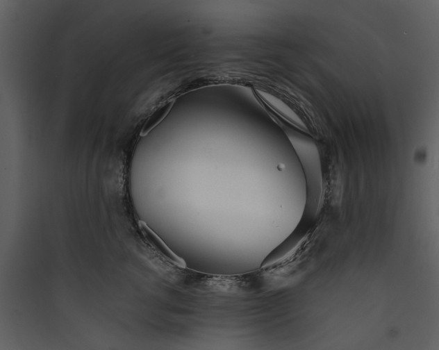 X0000089930762200707131432