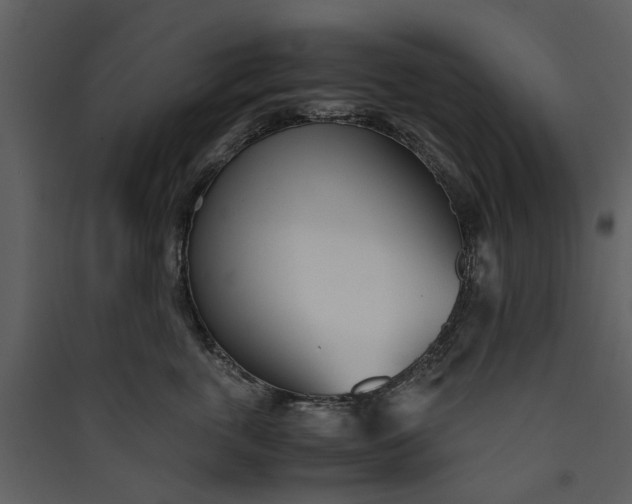 X0000089930763200707131432