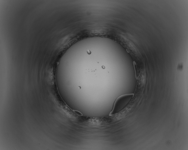 X0000089930764200707131432