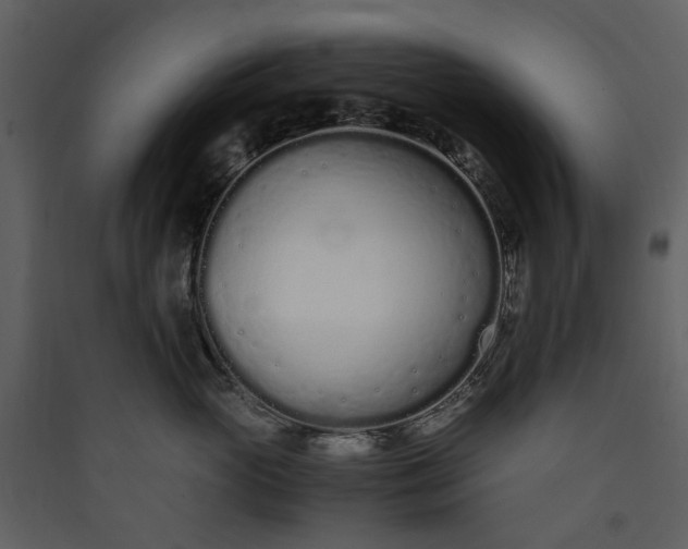 X0000089930765200707131432