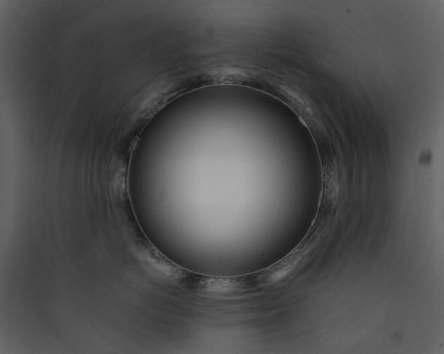 X0000089930766200707131432