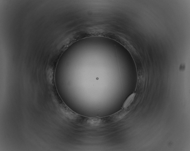 X0000089930767200707131432