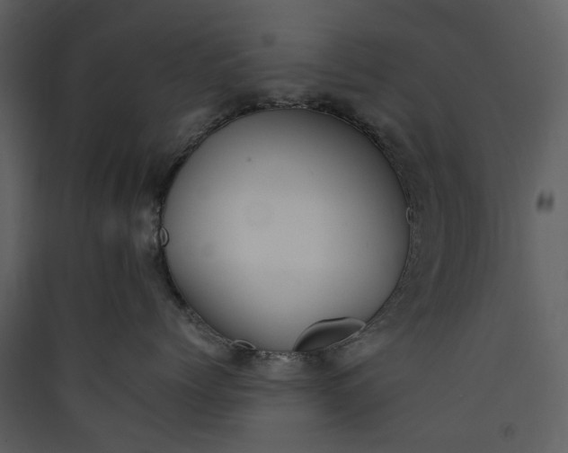 X0000089930768200707131432