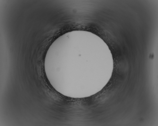 X0000089930769200707131431