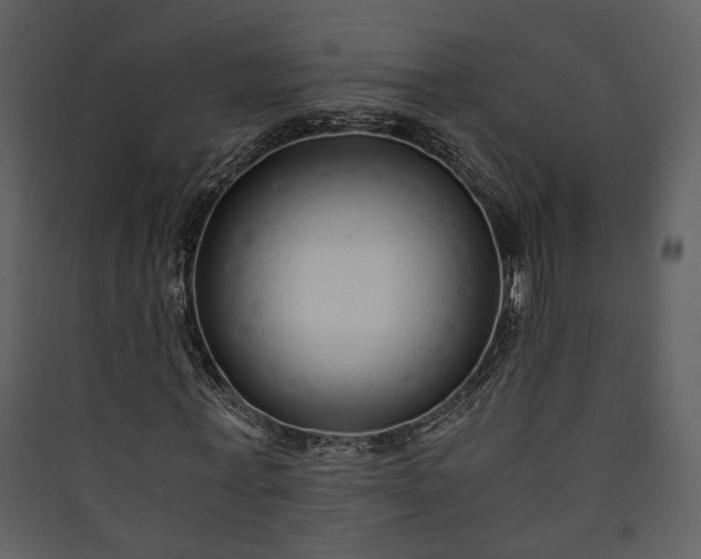 X0000089930771200707131431