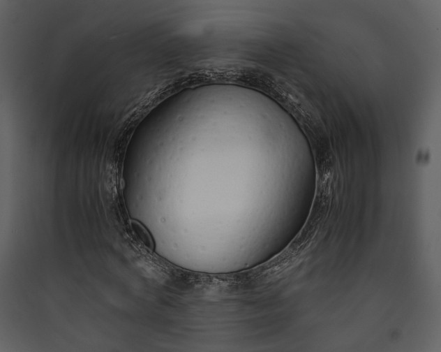 X0000089930772200707131431