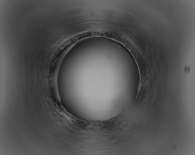 X0000089930773200707131431