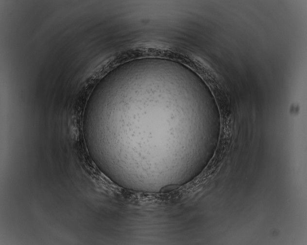 X0000089930774200707131431