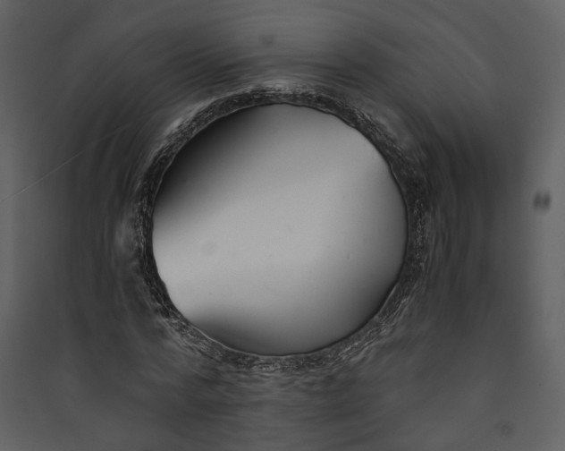 X0000089930776200707131431