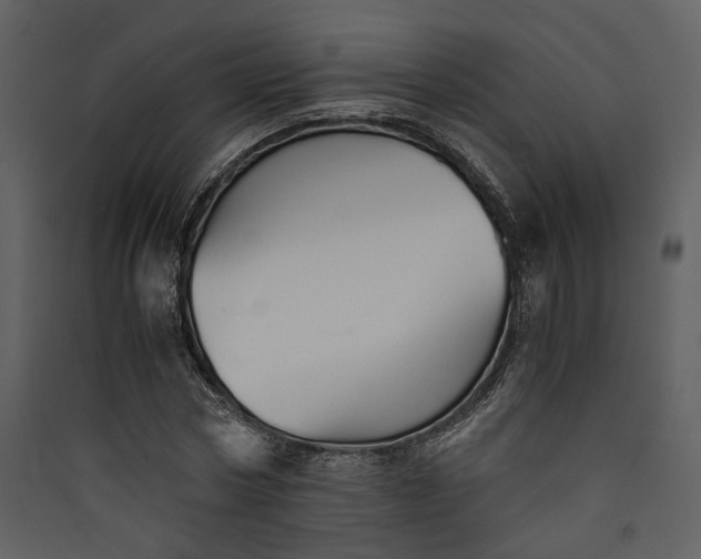 X0000089930778200707131431