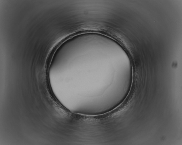 X0000089930779200707131431