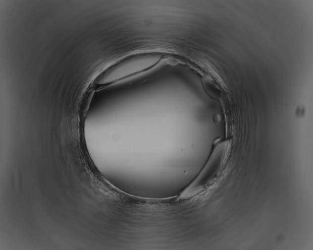 X0000089930781200707131431