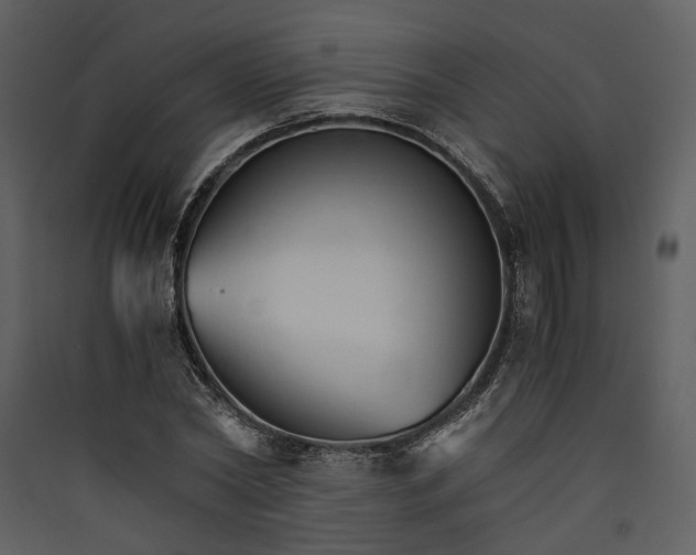 X0000089930782200707131431