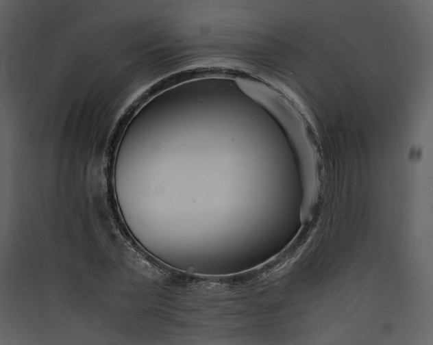 X0000089930783200707131431