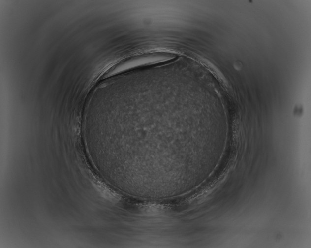 X0000089930785200707131431