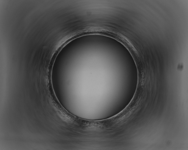 X0000089930786200707131431