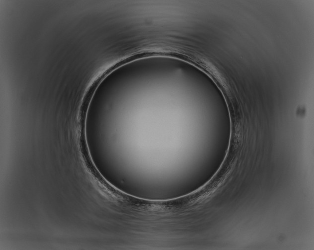 X0000089930787200707131431