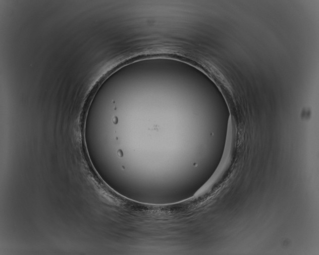 X0000089930789200707131431