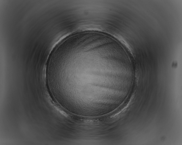 X0000089930790200707131431