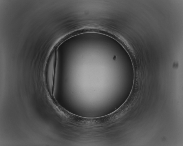 X0000089930791200707131431