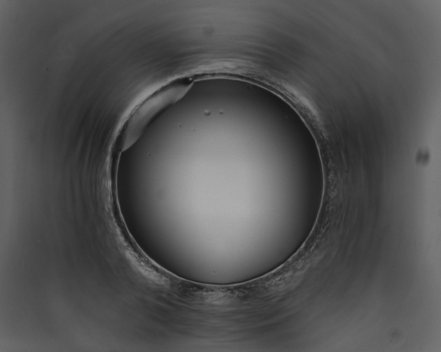 X0000089930792200707131431