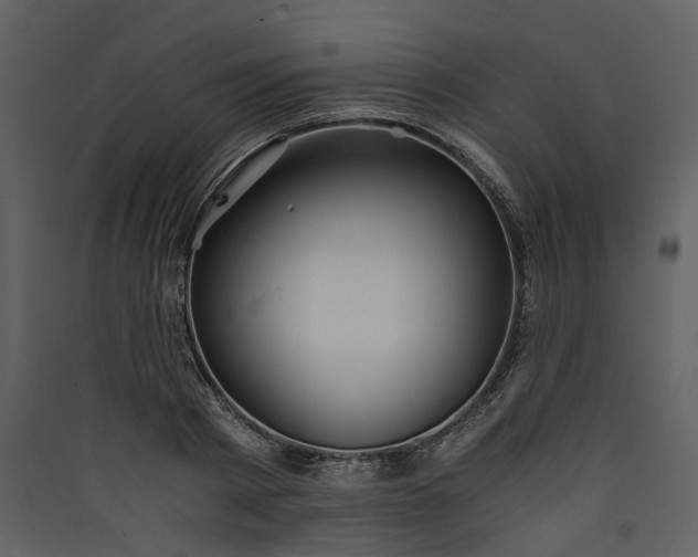 X0000089930793200707131431