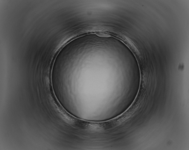 X0000089930794200707131431