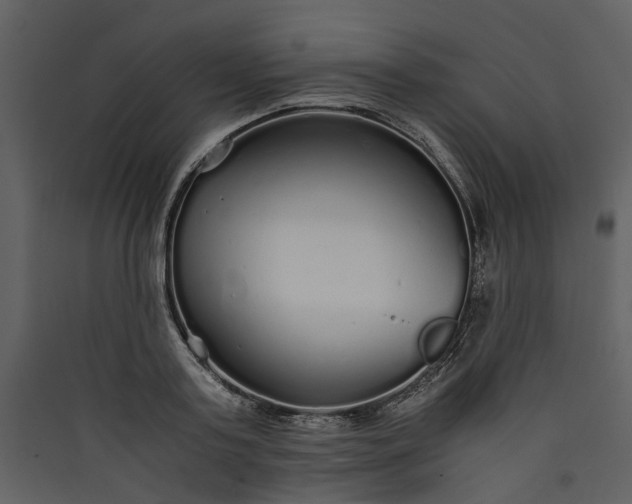 X0000089930795200707131431