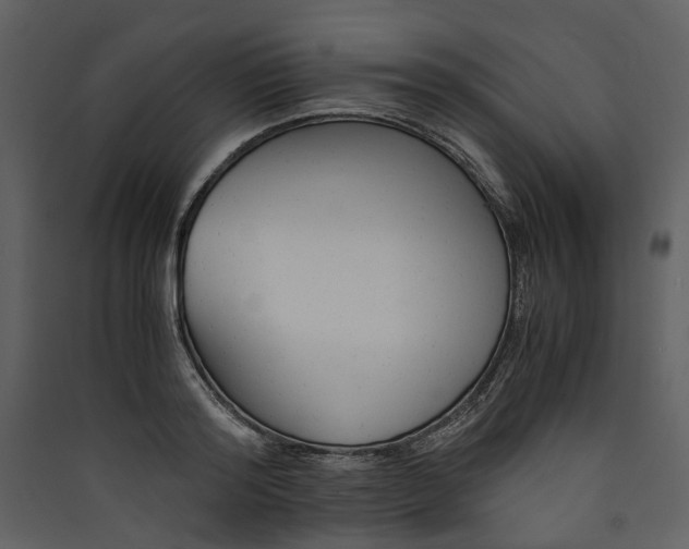 X0000089930796200707131431