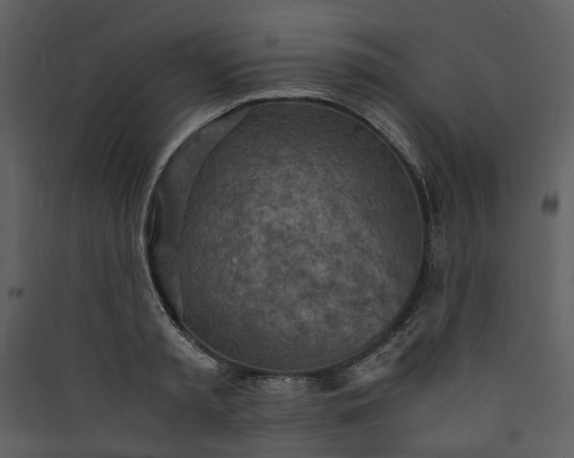 X0000089930797200707131431