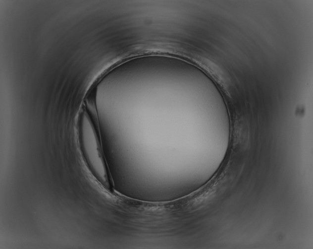 X0000089930798200707131431