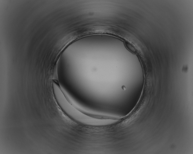 X0000089930801200707131431