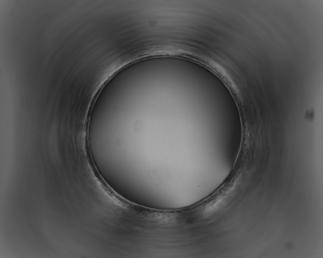 X0000089930802200707131431