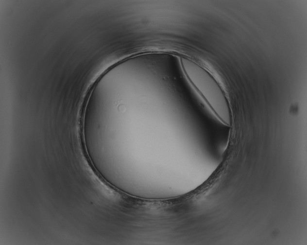 X0000089930803200707131431