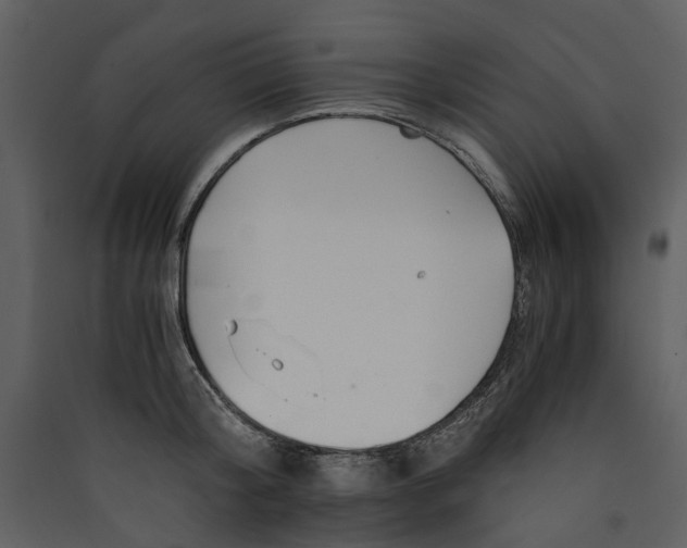 X0000089930804200707131431