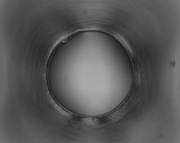 X0000089930805200707131431