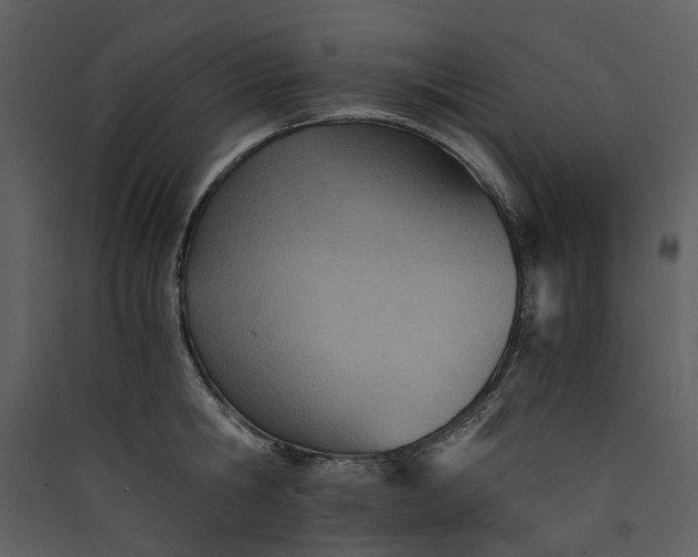 X0000089930806200707131431