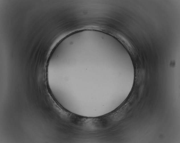 X0000089930808200707131431