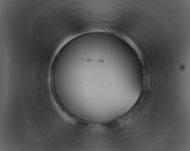 X0000089930811200707131431