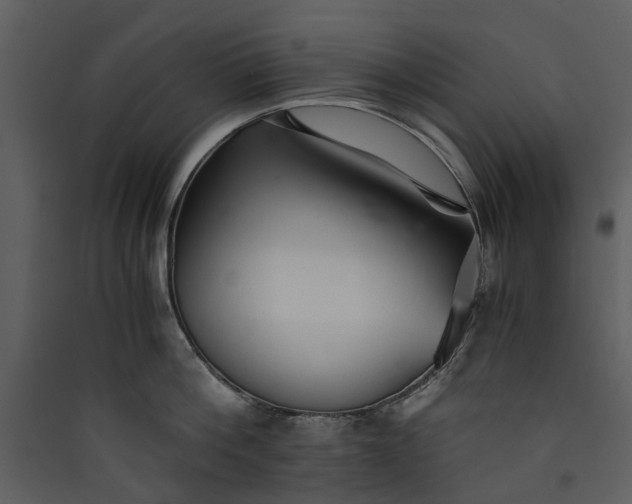 X0000089930812200707131431