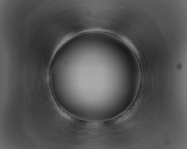 X0000089930813200707131431