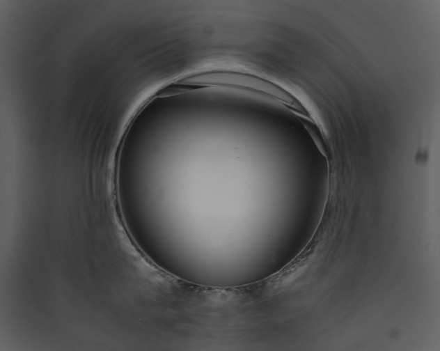 X0000089930815200707131431