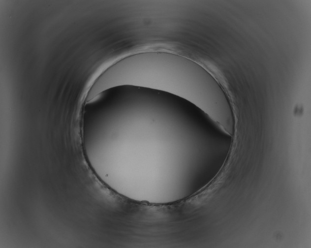 X0000089930816200707131431