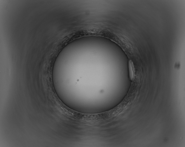 X0000089930817200707131430