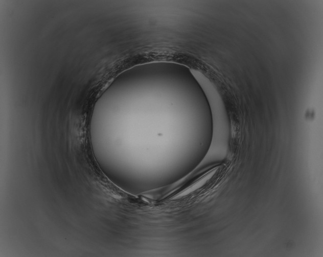 X0000089930818200707131430